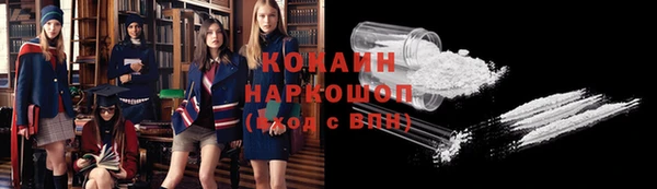 прущие грибы Белокуриха