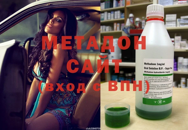 прущие грибы Белокуриха