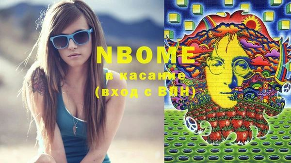 прущие грибы Белокуриха