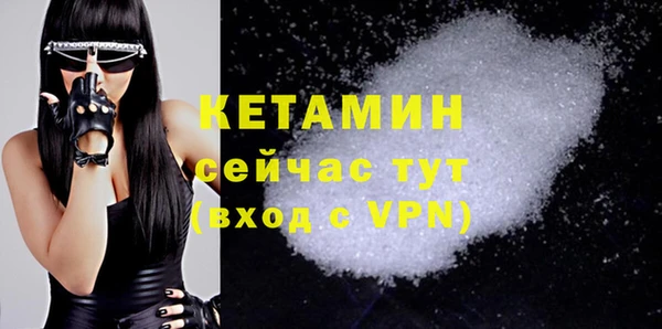 прущие грибы Белокуриха