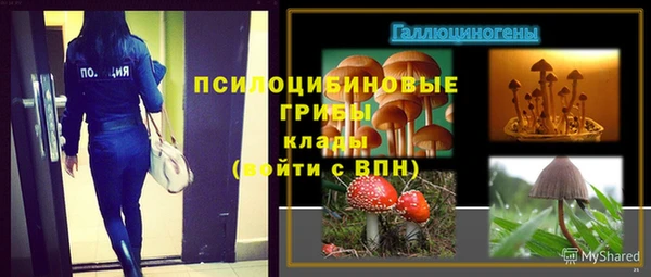 прущие грибы Белокуриха