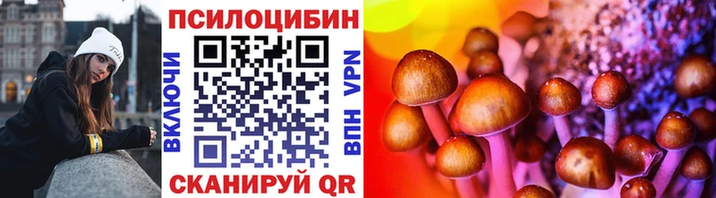 где найти Маркс Галлюциногенные грибы Psilocybe